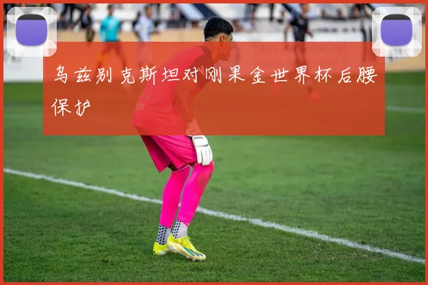 乌兹别克斯坦对刚果金世界杯后腰保护